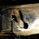 The original hole was about the size of a dime, bottom right of this picture.